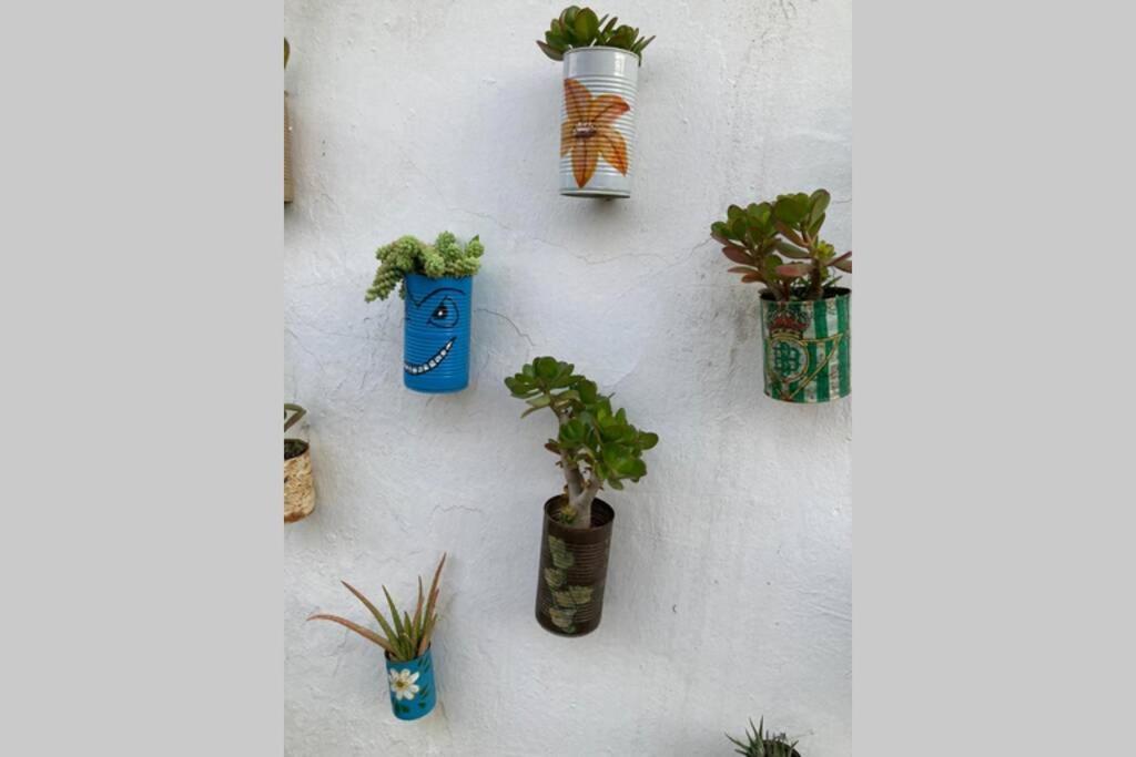 Casa Tipica De Pueblo Andaluz Villa Villanueva de San Juan Eksteriør bilde