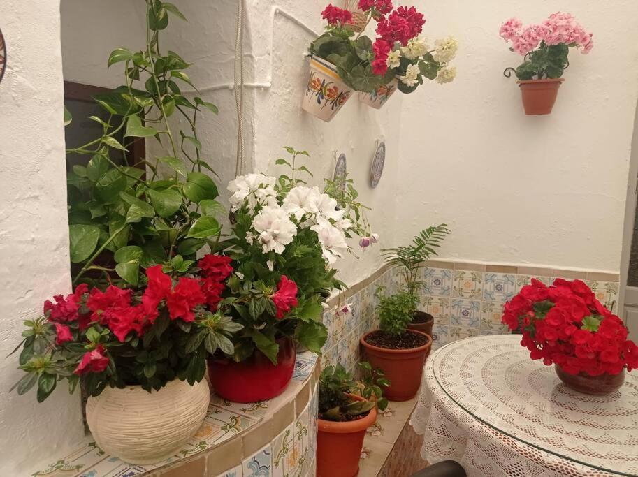 Casa Tipica De Pueblo Andaluz Villa Villanueva de San Juan Eksteriør bilde
